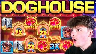 I PLAYED EVERY DOG HOUSE SLOT!
