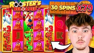 ROOSTER RETURNS PAID OUT MY BIGGEST WIN YET!